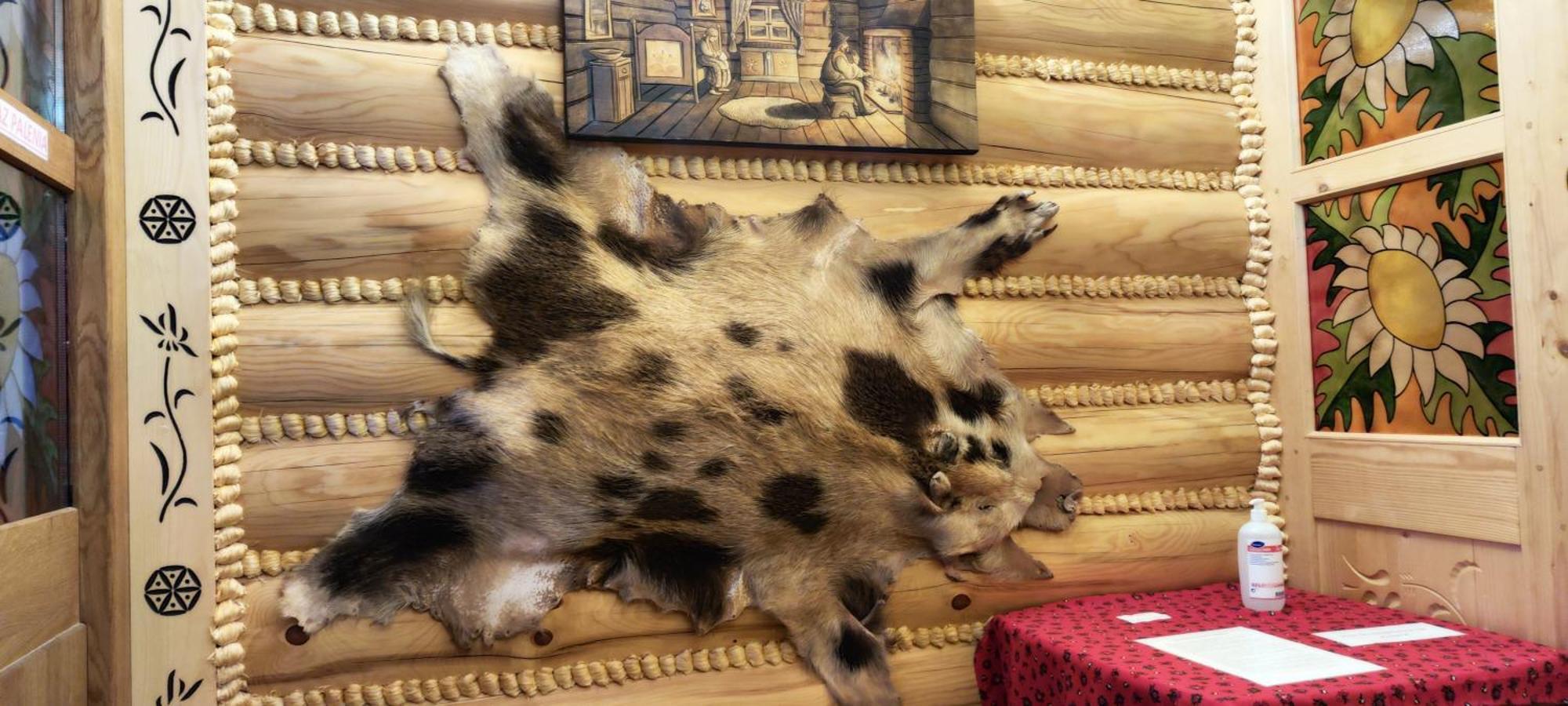 Chata Goralska I Pokoje Goscinne Цехоцинек Экстерьер фото